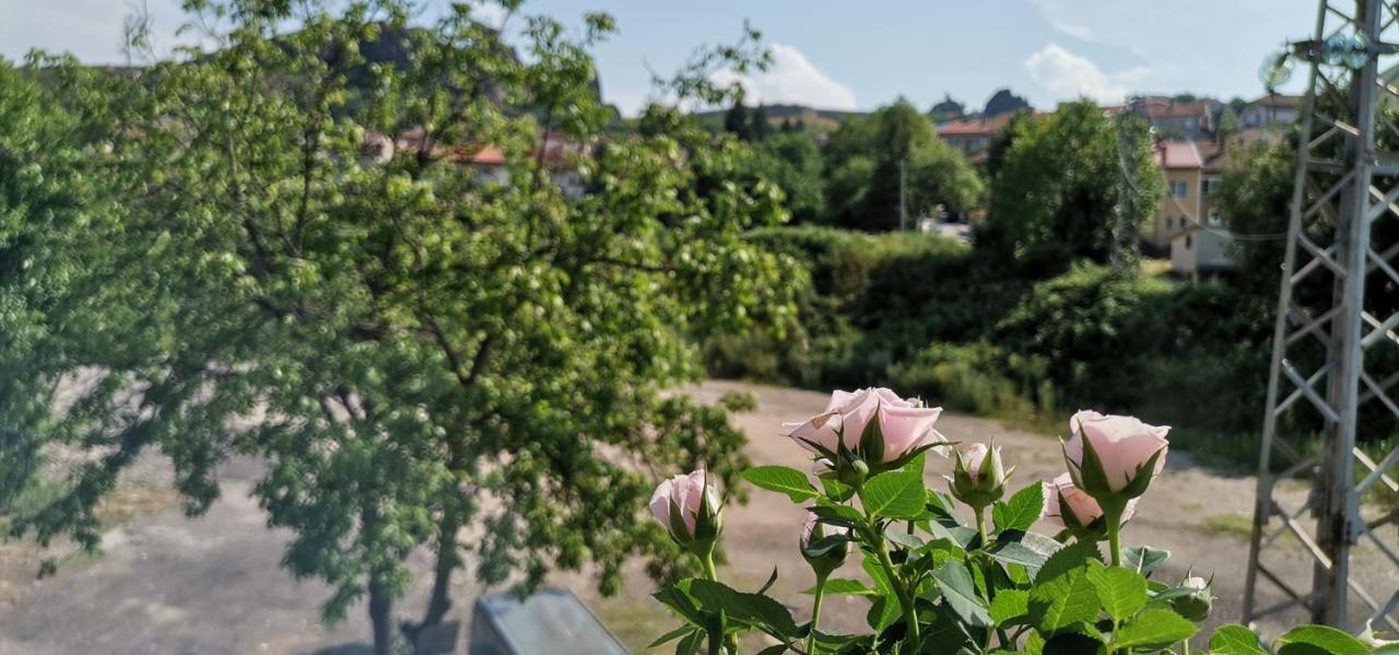 Fortress View Apartment ベログラドチク エクステリア 写真